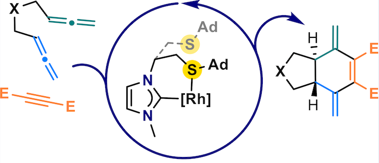 Szostak_Group's tweet photo. #NHCs #NHeterocyclicCarbenes Roglans group reported Rh(I)-NHC catalyzed [2+2+2] cycloaddition of 1,5-bis-#allenes &amp; alkynes. Hemilabile thioether N-Ar wingtip critical for reactivity &amp; excellent trans-diastereoselectivity! @Shiyi37699738 @ACSCatalysis

https://t.co/hJBs8sLvGn https://t.co/S4NfAcj5eT