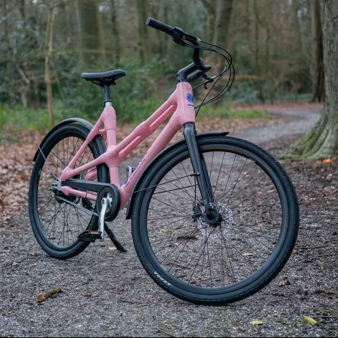 GhanaBambooBike's tweet photo. How good and pleasant it is to see  ECORIDE, our made in Ghana product,  successfully launched at the Dutch market in the Netherlands.  
What stands tall alone in our heart is mitigating carbon footprint through sustainable cycling.
Thread 🧵 1/4 https://t.co/TLsSvMFlPl