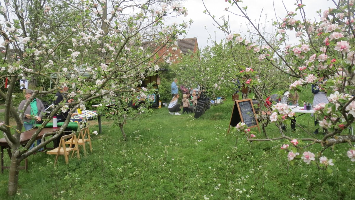 As spring approaches, we look forward to our favourite time of the year, #OrchardBlossomDay!

Blossom Day is an annual celebration of fruit trees, flowers and food in our wonderful orchards.

Visit our website for an activity pack and planning toolkit 👇
orchardnetwork.org.uk/orchard-blosso…