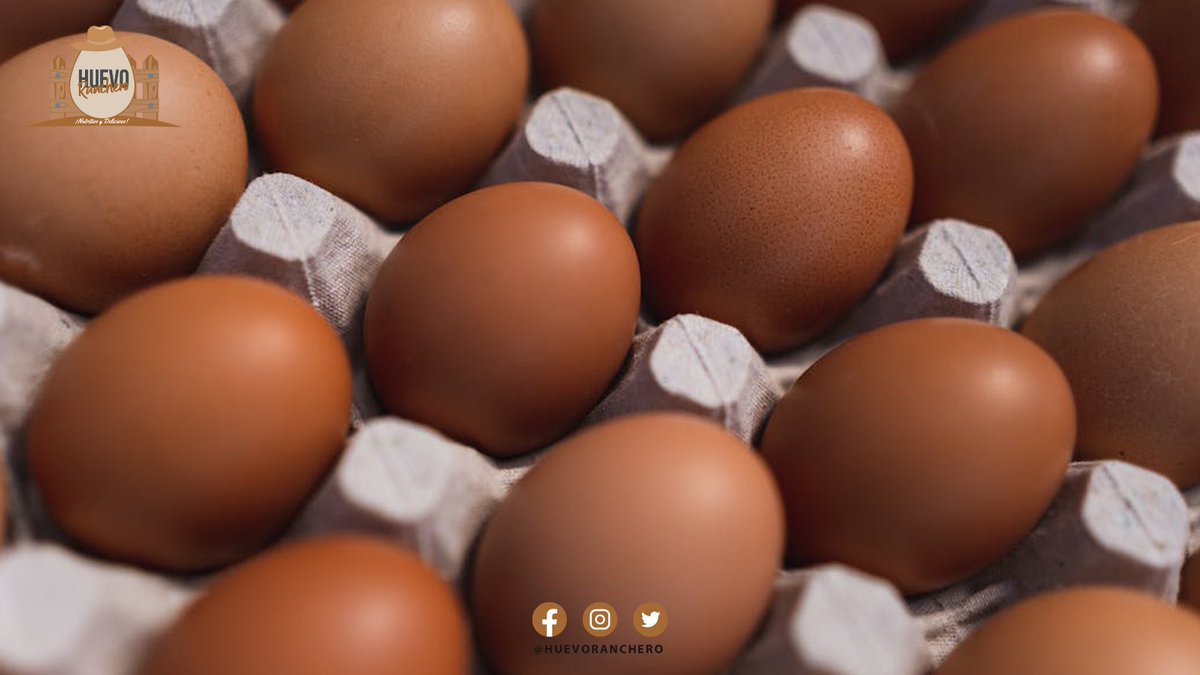 HuevoRancheroES's tweet photo. ¡Nuestro sabor y calidad convence al más estricto paladar!
Sin Químicos, sin Hormonas, Gallinas libres y felices.🥚🐔

Recuerda, somos #HuevoRanchero🤠 
Agenda tú pedido al 📲229 950 9190, Con gusto le atenderemos. 🤝 

Tu Salud es lo más valioso, aprendamos a comer Sano. ☺ https://t.co/dFbZQEB5wR