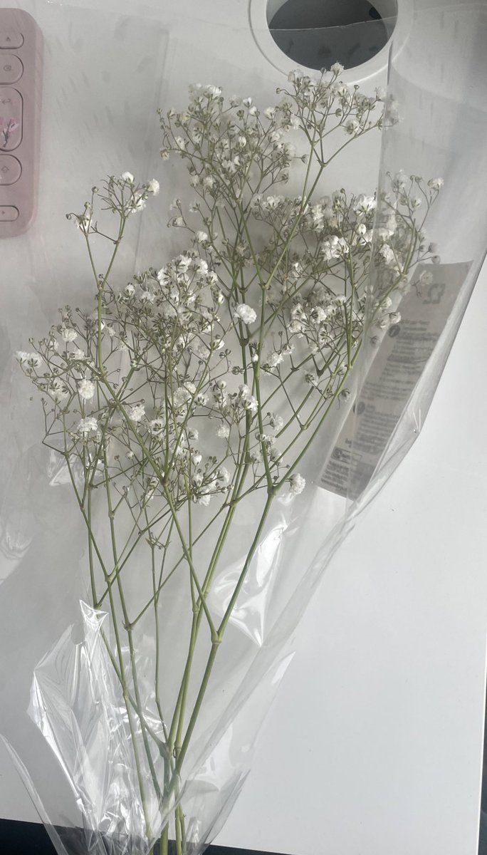 bought some flowers :)