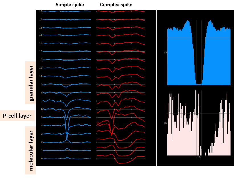 Reza Shadmehr tweet media