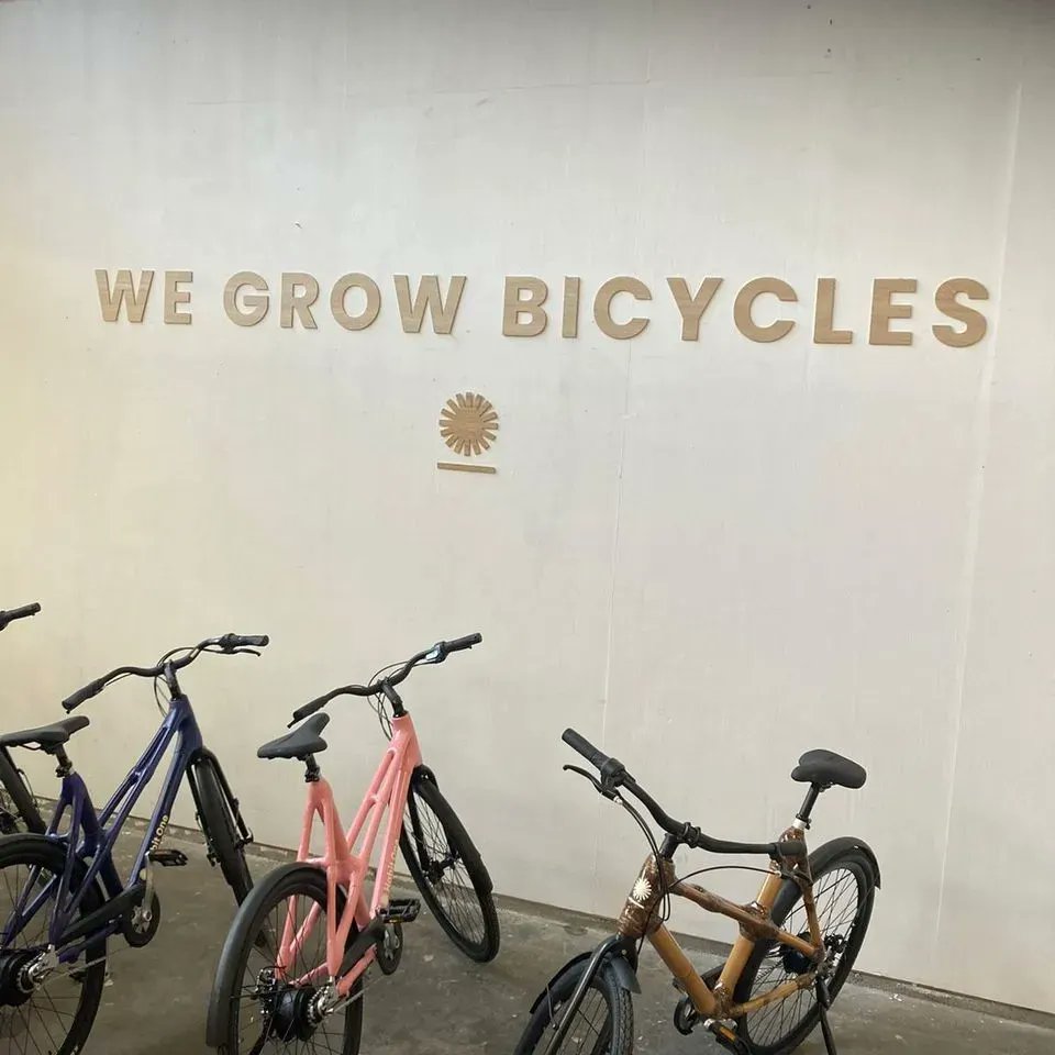GhanaBambooBike's tweet photo. How good and pleasant it is to see  ECORIDE, our made in Ghana product,  successfully launched at the Dutch market in the Netherlands.  
What stands tall alone in our heart is mitigating carbon footprint through sustainable cycling.

Thread 🧵1/4 https://t.co/6JFQIU7M3Z