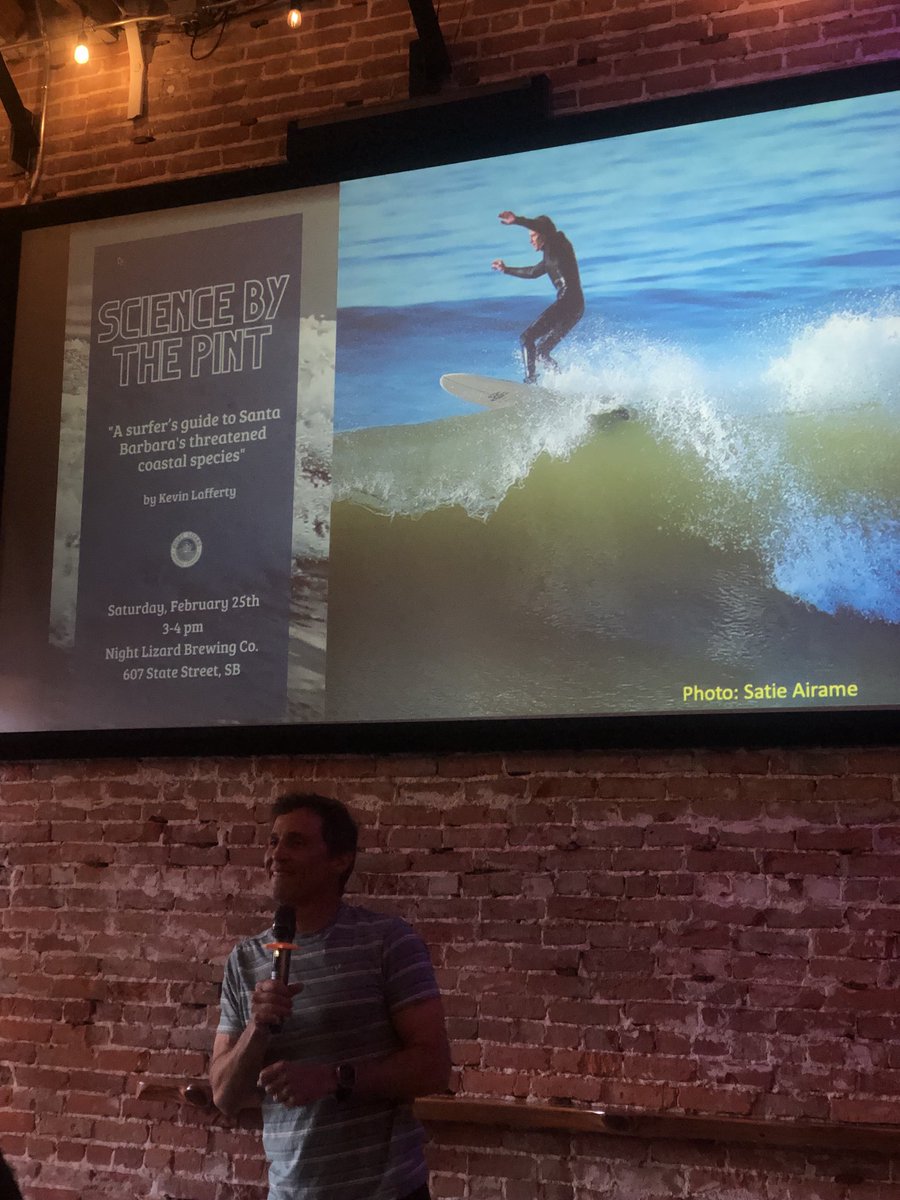 A fun way to spend a Sat afternoon at the Night Lizard eco pub with Kevin Lafferty and other pals for his talk: a surfers guide to threatened coastal species. All the beers here are named for local species.