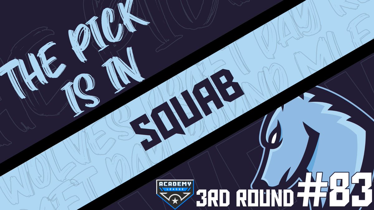 WolvesMLE's tweet image. With our final Pick in the AL #MLEDraft, We take Squab