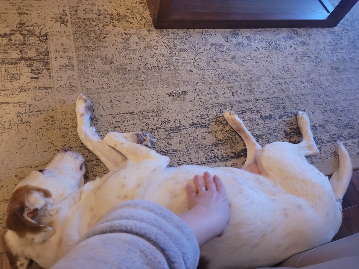 I don't care if you can't reach! Stretch your arm, lady! 😃