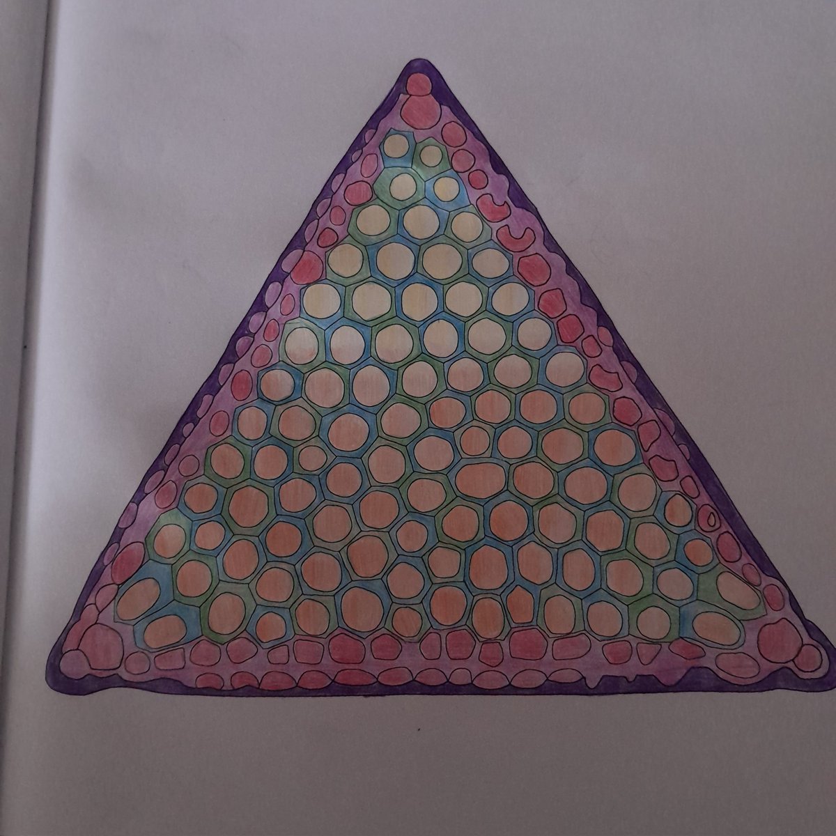 NotAPrimeNumber's tweet photo. I'm up to what will surely be my favourite section of #MicroscopicMarvels colouring book.
Finished the first of the #algae, the marine #diatom #Triceratium
#micromarvels #phycology #microbiology #sciart https://t.co/A472TSoTwM