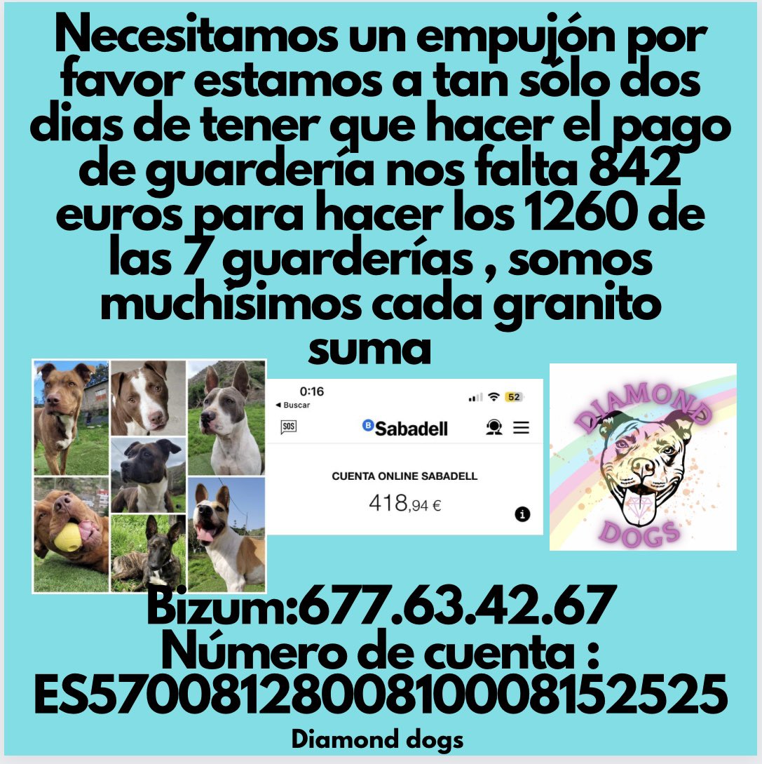 Diamonddogsgc's tweet photo. #PPP #leyppp #protectoradeanimales #ayuda #sos #helpme #dona #guardería #perros #animal #animales #dog #comparte https://t.co/sXBHGLbOOG