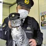 名前はまだない。警察署に保護された迷い猫、猫駐在として活躍中!？