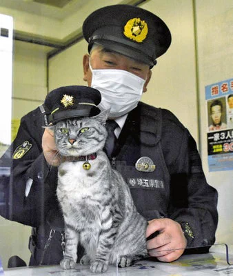 名前はまだない。警察署に保護された迷い猫、猫駐在として活躍中！？