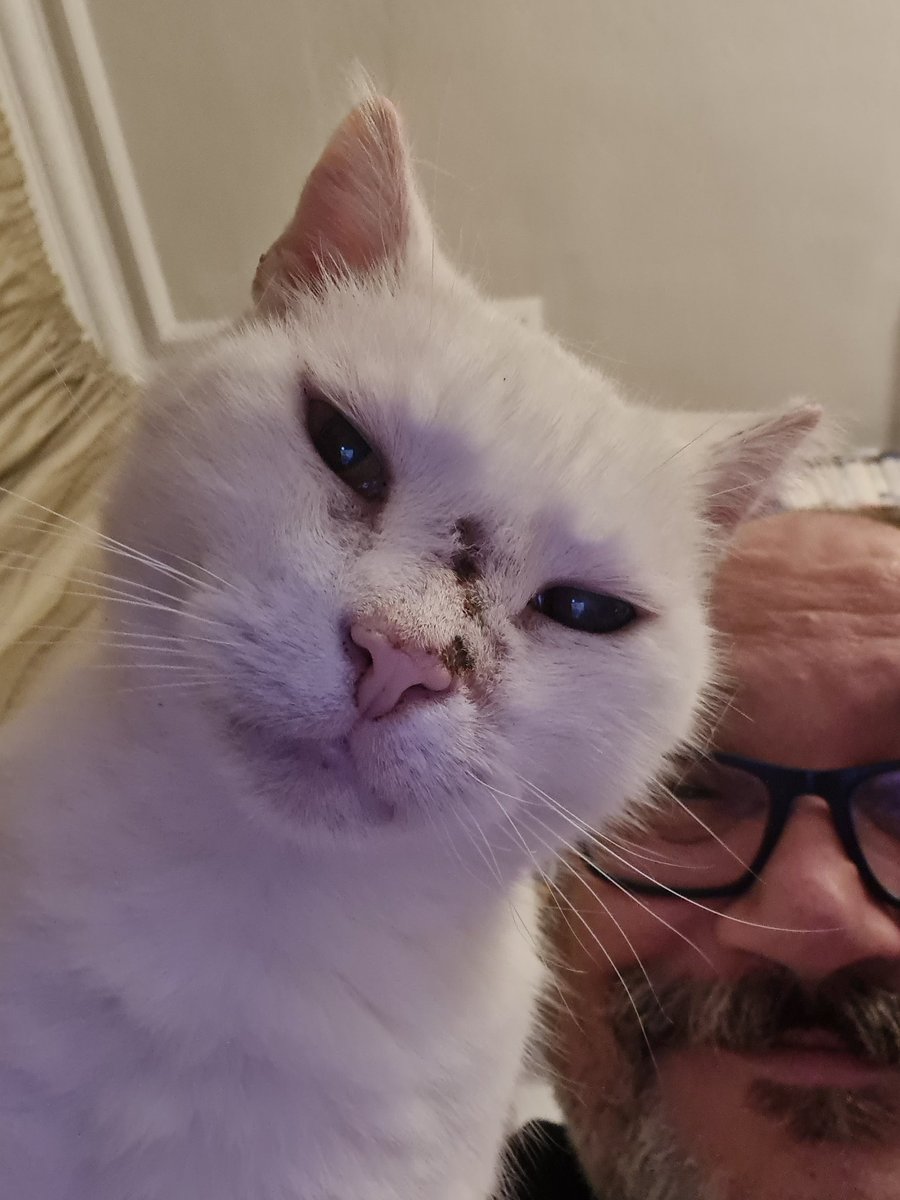 MyloStreet's tweet photo. Me and my servant. 😹😹😹 https://t.co/a2jmRVMGrv