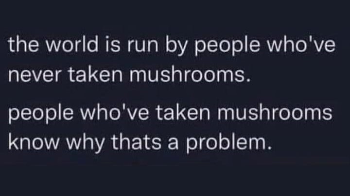 Gritty20202's tweet photo. 🍄🫠 https://t.co/DeBFAhjcOo