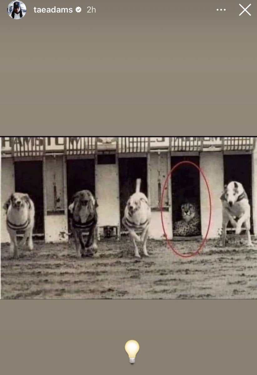 Raiders Report Mitchell Renz tweet media