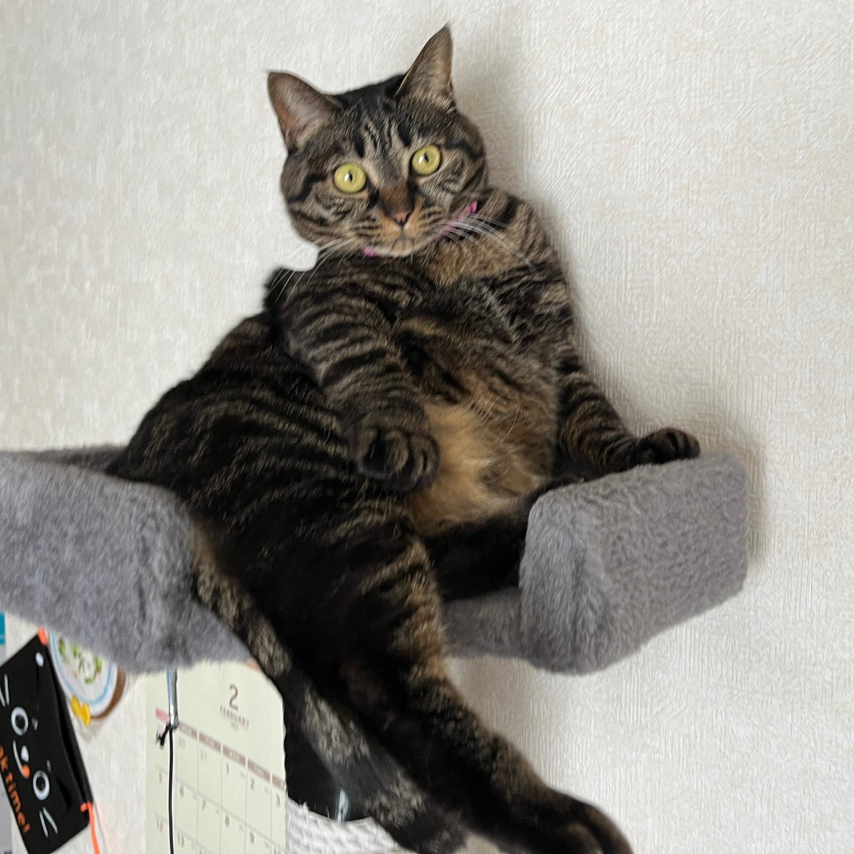 振り向いたらこの姿だった