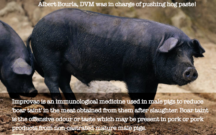 NeLLLieBly's tweet photo. Pfizer head Albert BOURLA, A VETERINARIAN, cut his teeth PROMOTING a DRUG for hogs that made their meat smell less hoggy. #hogpaste #SmellNoEvil #BourlaPigPillPusher https://t.co/uJnp0UwOeF