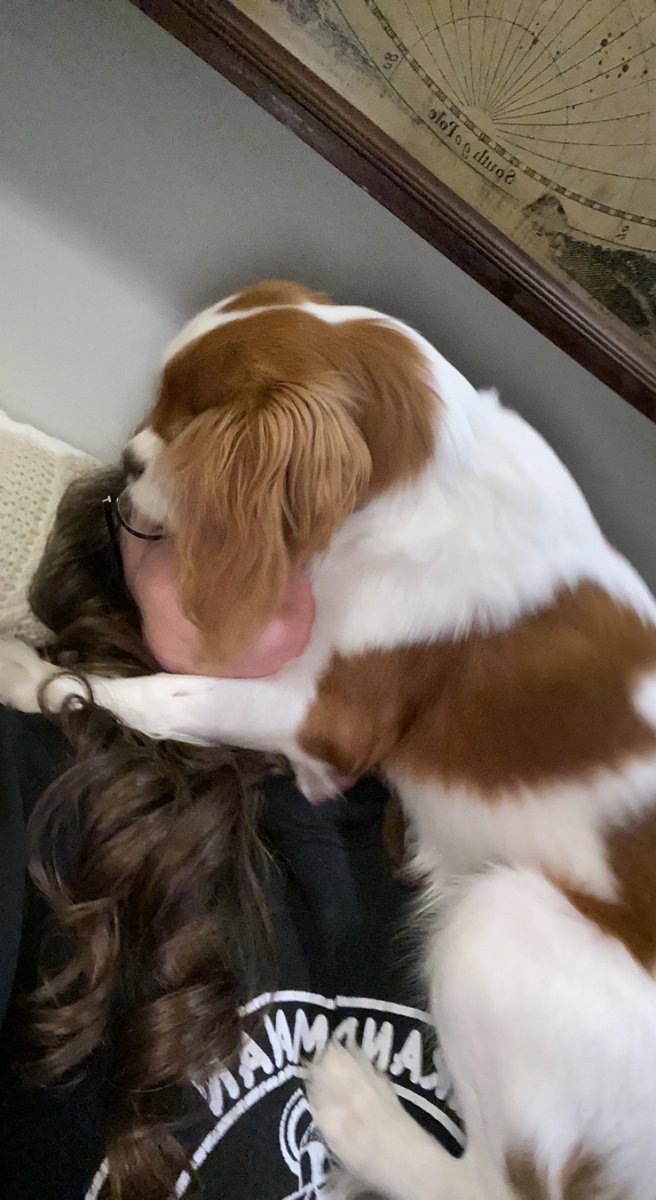 While I was originally planning on streaming tonight I’ve turned into a impromptu babysitter… maybe tomorrow 😂

#twitchaffiliate #streamer #puppies #gamergirl #girlsoftwitch