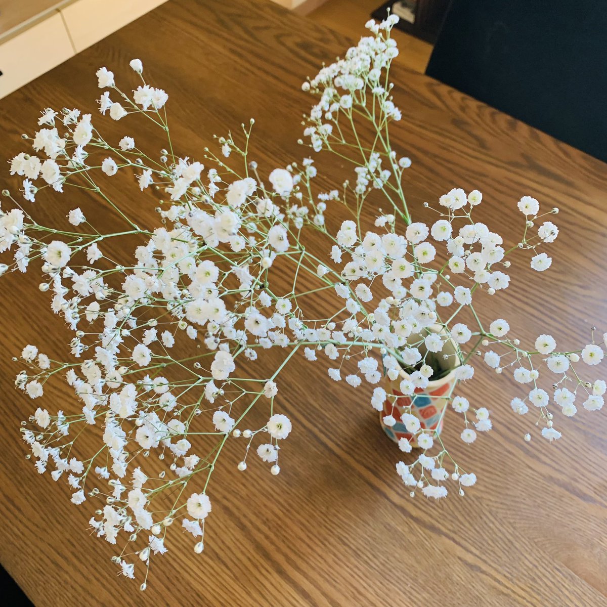 今日のお花😎 https://t.co/bsW34RQd3w