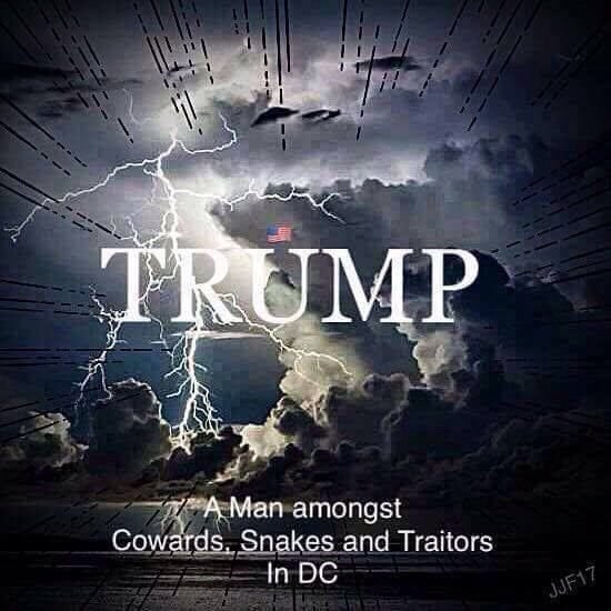 ZekeGary2's tweet photo. Good Night Patriots All! Trump 2024! https://t.co/vnw0Bt9eba
