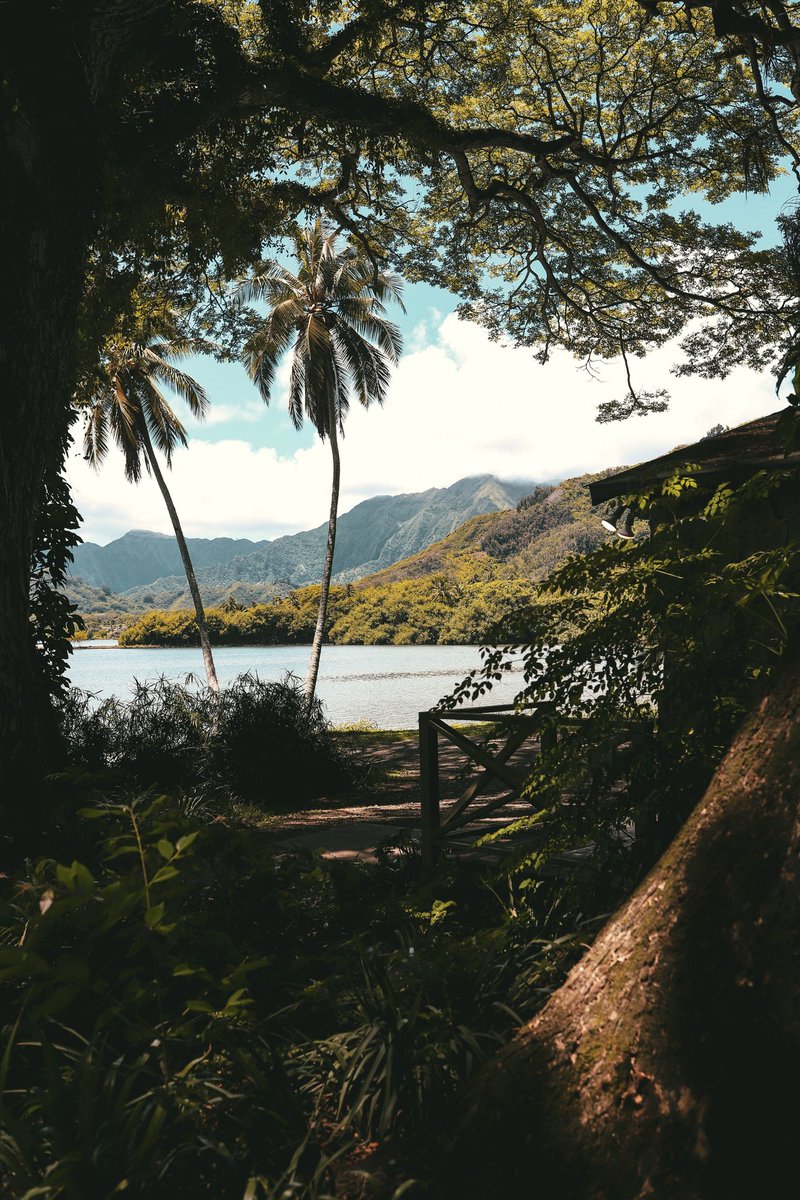 tbgonz's tweet photo. Oahu https://t.co/xOOFPxrsW7