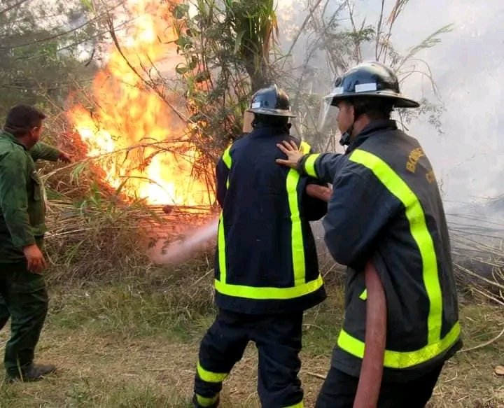 JorZRC's tweet photo. Que clase de valentía la de estos muchachos!!!💪🇨🇺 En #Mayarí continúan librando una fuerte batalla contra el fuego. 
#HolguinSi #CreoEnTi 💕 https://t.co/QKrbXqOPzE