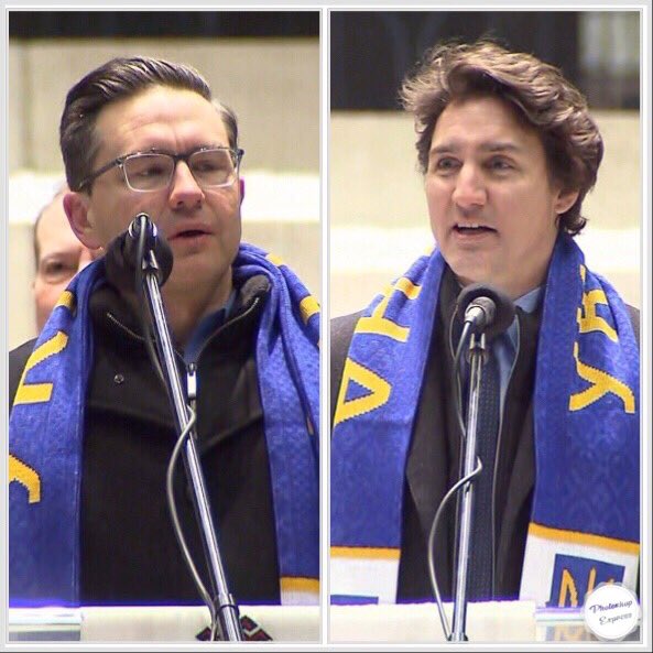 Peter Xie/🇨🇦PPC🇨🇦 on Twitter "RT SleepyCanuck When a picture is