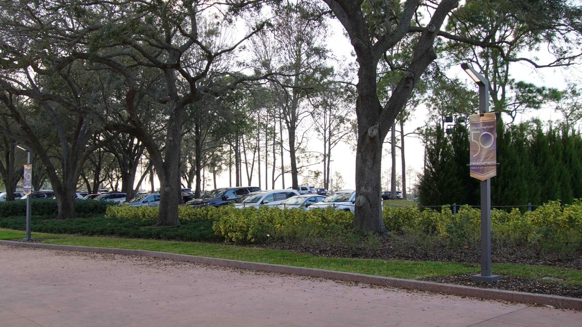 bioreconstruct on Twitter "Grass parking this weekend at EPCOT. Due to