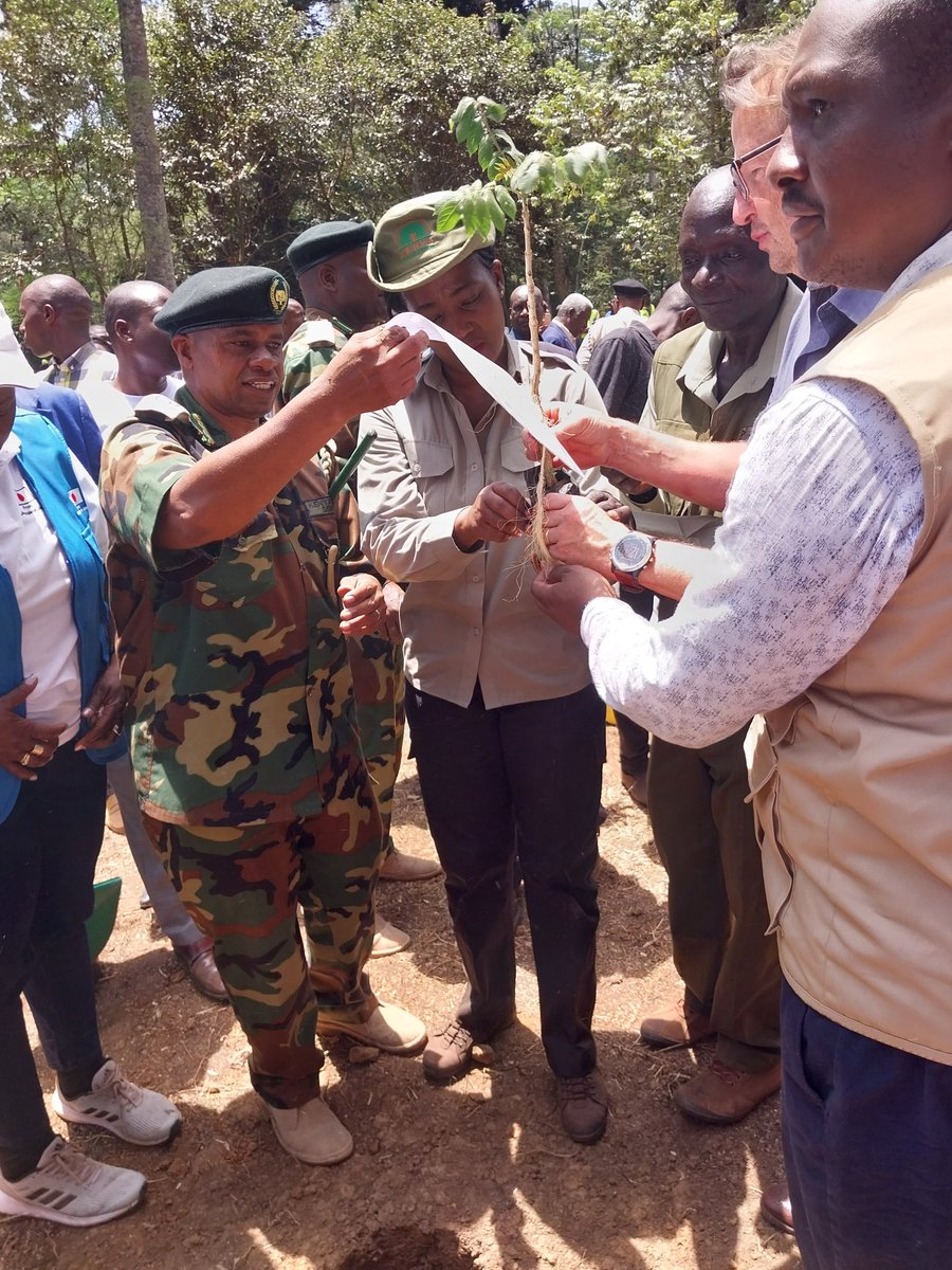 Kakamega forest fencing project launch...🌲🌿, lets unite & Synergise together for conservation @UNDPClimate @UNDPKenya @japan @RhinoArk #FLaRAK