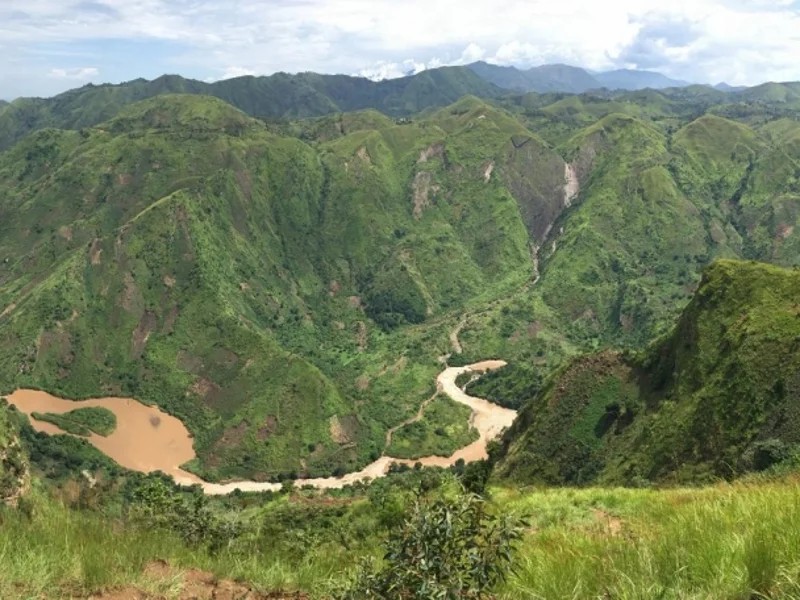 The Chronicles tweet media