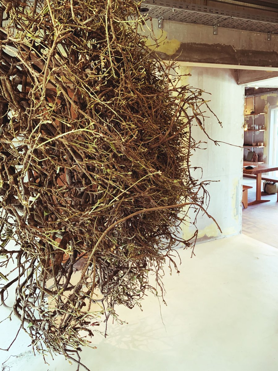 12ghosttable's tweet photo. I went to a restaurant that served root dishes.
Lunch was limited to one group.
Tokyo is dotted with restaurants that offer unique courses like this.
It would be a valuable experience to eat this course in the forest.
#12ghost
#ghosttable https://t.co/wwk19jxP1s