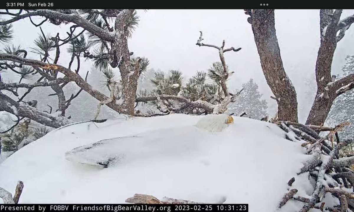 Jason's tweet photo. GREATEST MOM EVER 🥚 🦅 ❄️ https://t.co/ROZ7fjq1VS
