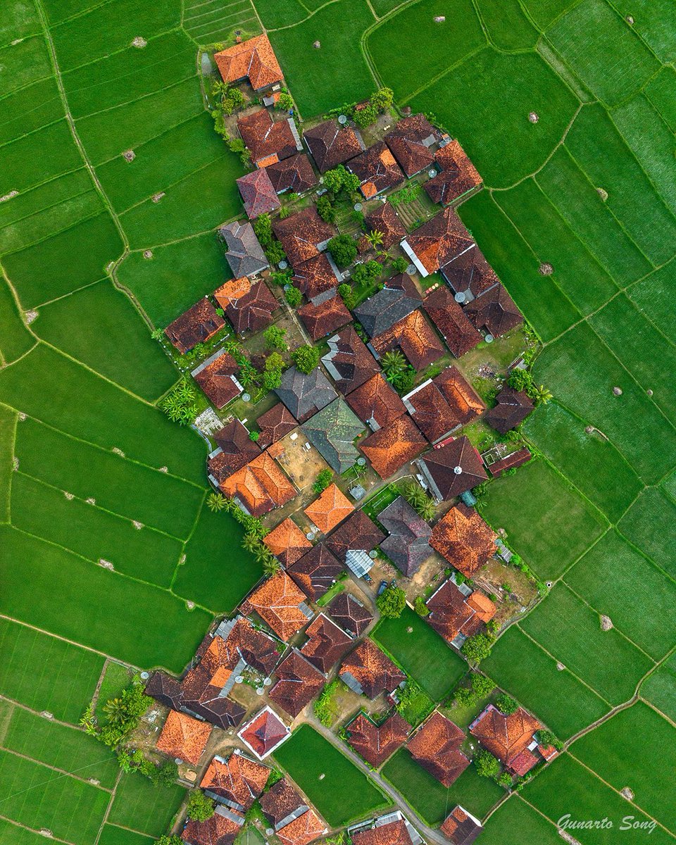 Praveen_nature's tweet photo. #Nature #NatureBeauty #Naturelover #NaturePhotography #Greenary #Padddy #Paddyfeilds #Farming #Agriculture #Village #Villagebeauty #Villagephotography #India #Droneshot #Dronephotography https://t.co/grnEj3zHAY