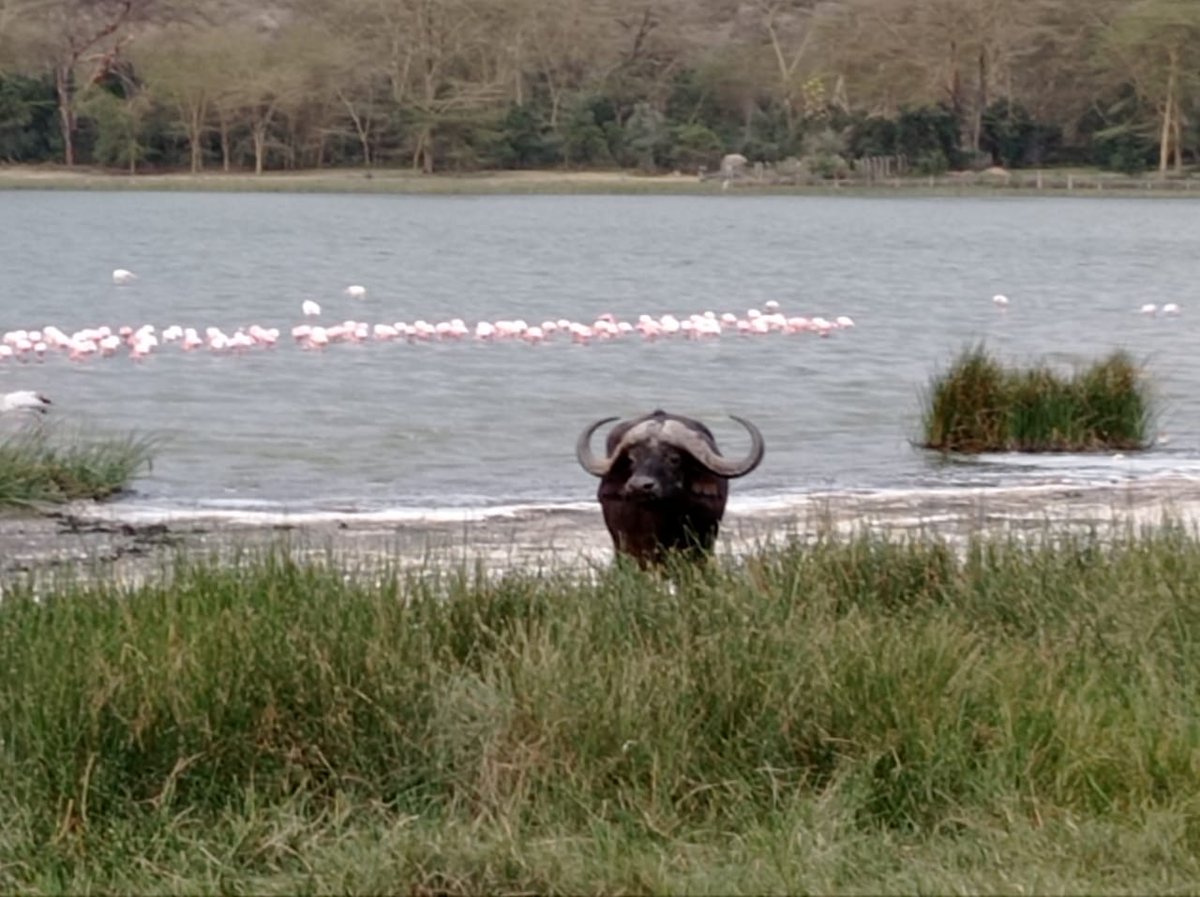 Regeneration #nature