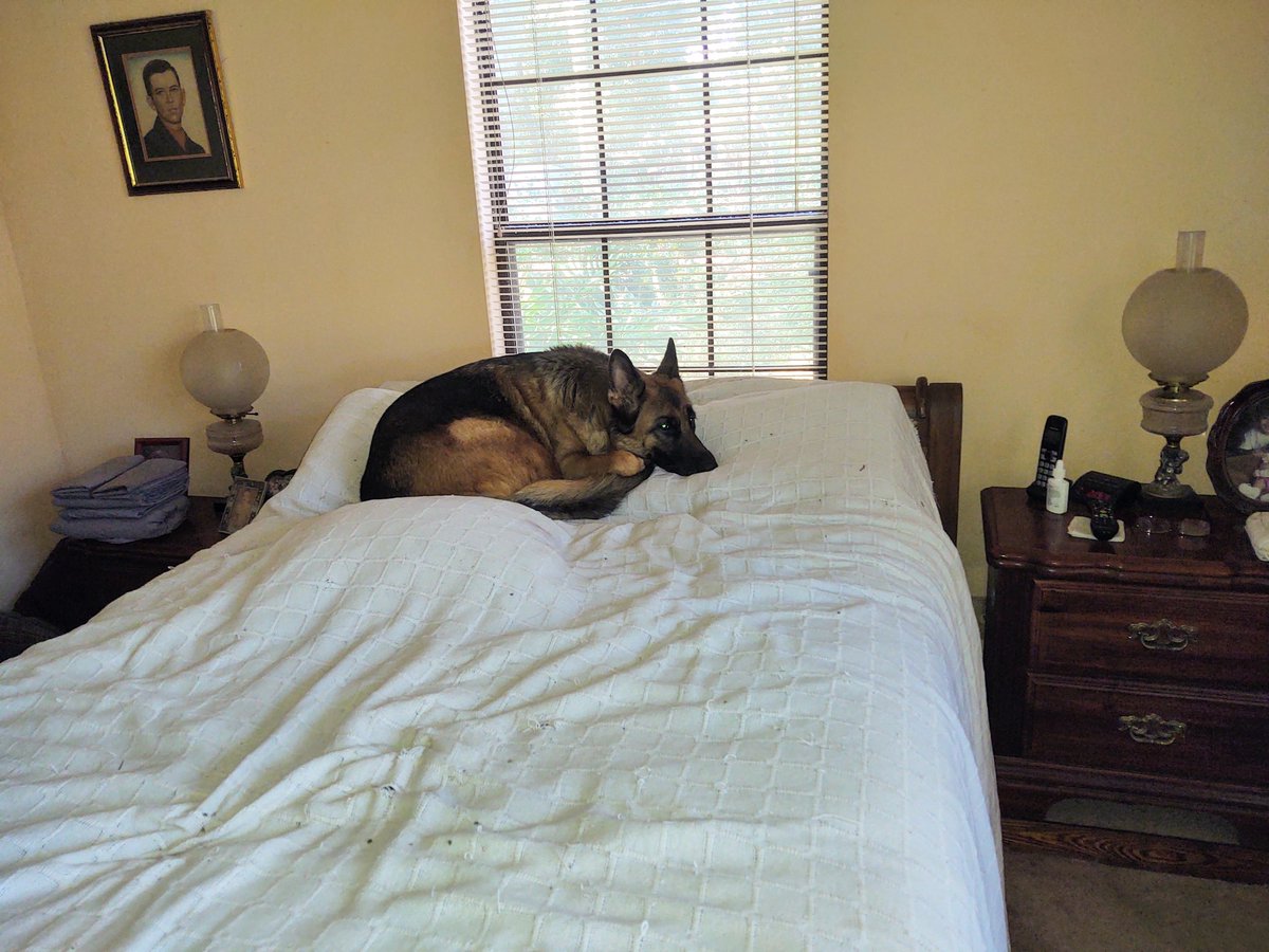 Keeping an eye out for trouble.