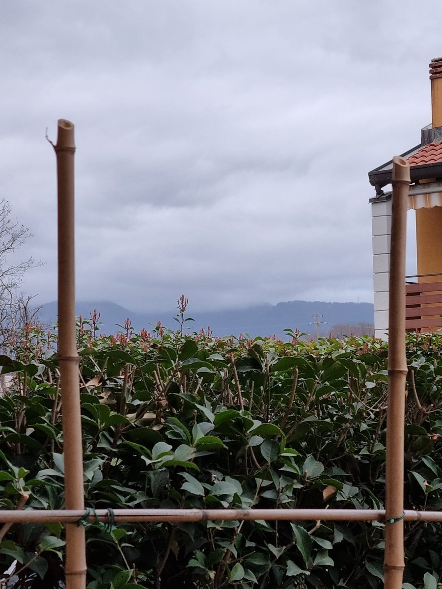 olivati's tweet photo. Nella splendida cornice...
#Mozzo #Bergamo ❤️ https://t.co/ii8gB6bTjt