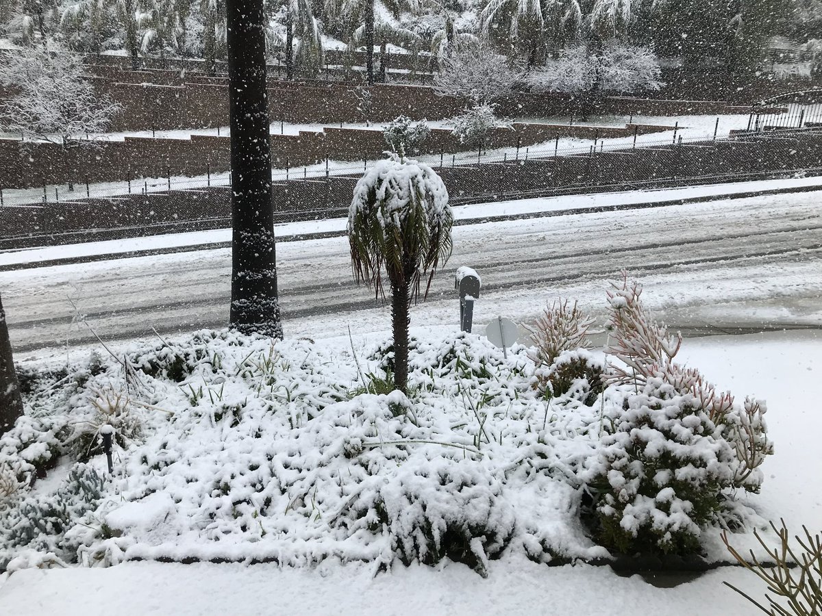 DahlingLori's tweet photo. #Fox11SnowDay #LASnow #LaCrescenta #LaCanada #Montrose #Glendale #LABlizzard #SoCalBlizzard #SnowInLA
one of my best friends who live in La Crescenta sent me these! Iโm so jealous lol. https://t.co/T4Yla5uNY1