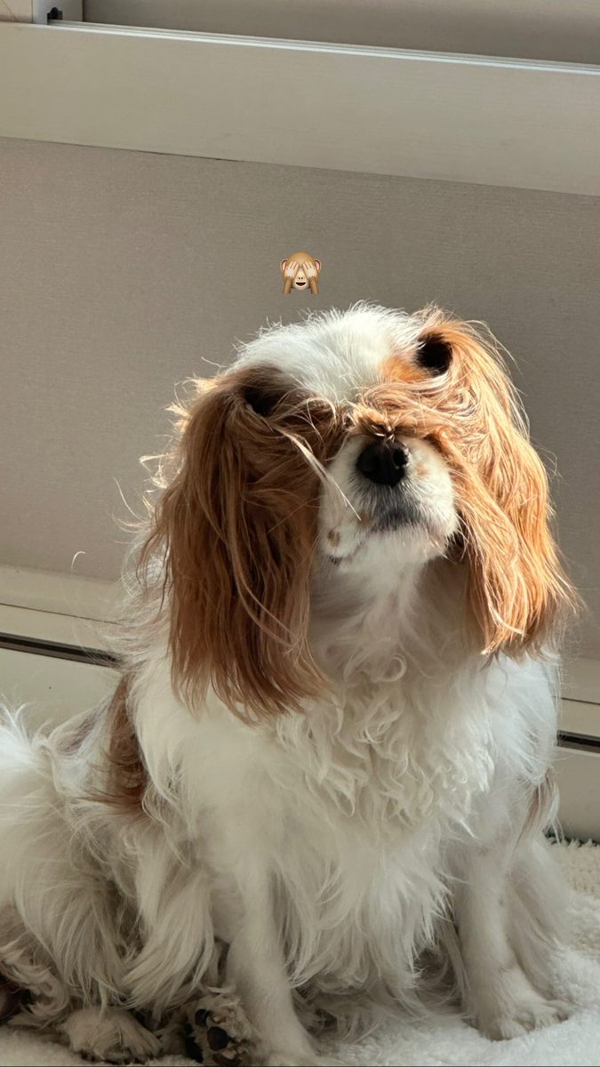 2023.02.26
摩卡 限時動態 IG mocha_daily_life