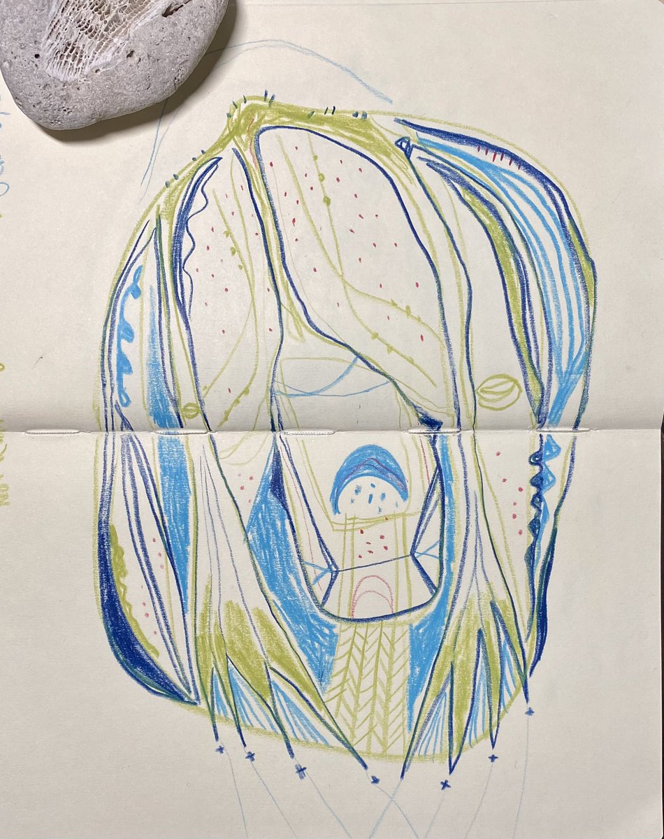 makeDoAndi's tweet image. a drawing / day for 100 days.
n O t  r U n n i N g.
n O t  l i S t E N i N g.
#art #abstractart #drawing #artbrut #visionaryart #intuitiveart