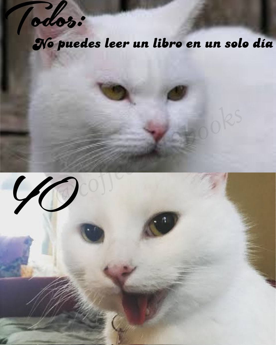 CoffeeBooks19's tweet photo. ¿Qué decías? 🤣 💅💅💅💅💅. Dormir y comer no es opcional 😏

#memesespañol #memecoffee #BlogLiterarioCoffee https://t.co/29uUhuVElm
