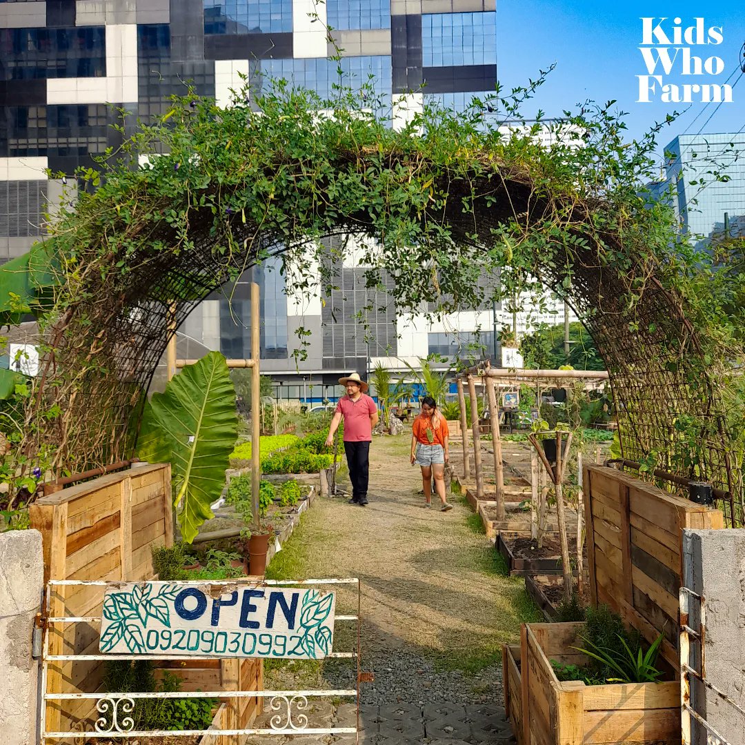 kidswhofarmph's tweet photo. Urban farmers unite! Kids Who Farm and Zamboanga City Councilor Hon. Lit-Lit Macrohon had the opportunity to visit and learn from the story and best practices of the BGC Community Farm run by Urban Farmers PH in BGC, Taguig.
#UrbanAgriculture
#LocalFoodSecurity https://t.co/pvoqG8I5bA