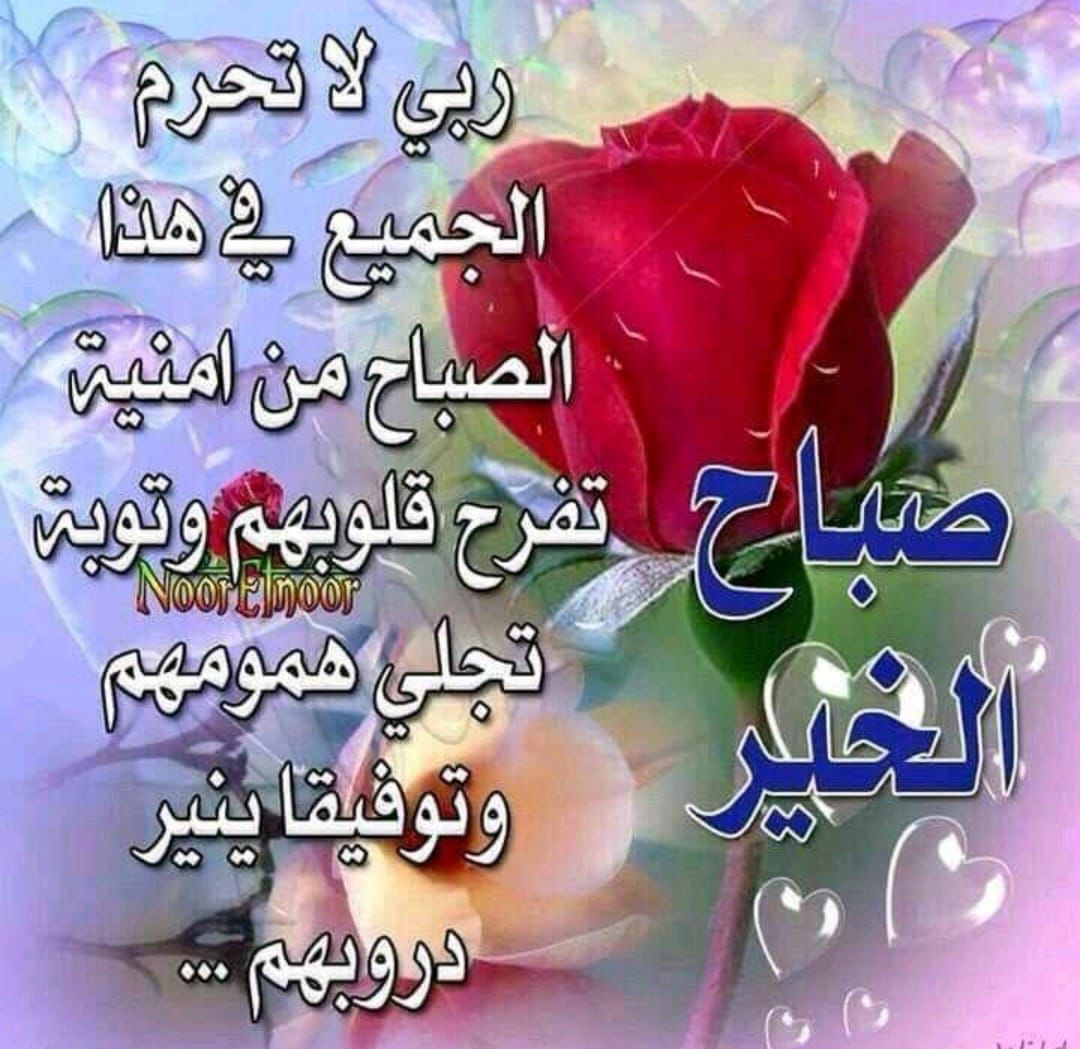 Reem99817's tweet photo. صباح الخير للجميع https://t.co/rXn7L8RpVx