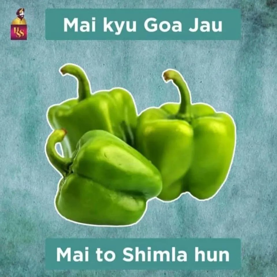 FitIndiaMoveme1's tweet image. Good way to #teachandlearn with some #humour, this #SundayFunday

PC: #WhatsApp University

#food #foodfun #nutrition #foodsofinstagram #fruits #vegetables #cloves #capsicum #soybean #clusterbeans #puri #jaggery #nutritwitter 

#BinaChhedasAmrutCentre