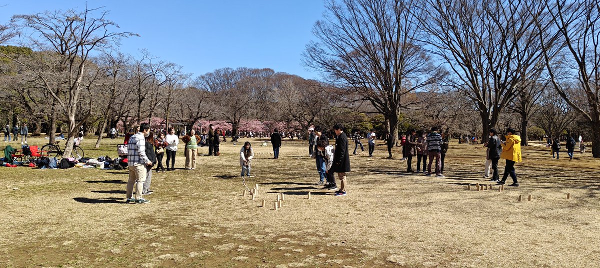 The most popular game in the biggest park in Tokyo: Mölkky!

Building the #FinestFuture in the #FinEstBayArea and #Japan #together