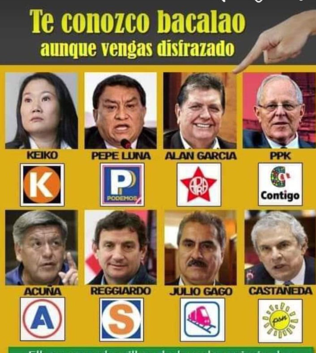 LAS RATAS DE SIEMPRE!!