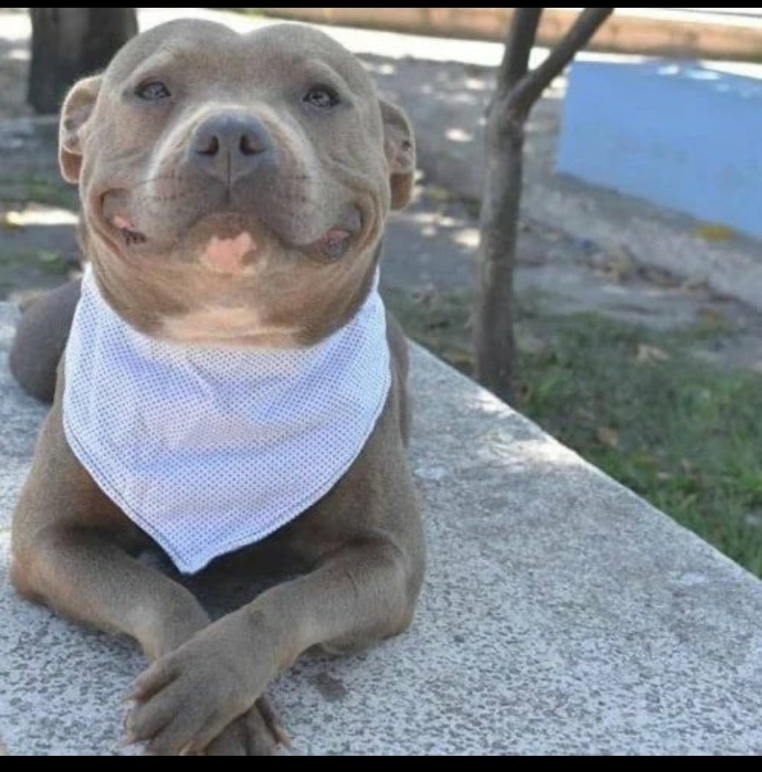 His Name is the last thing you ate 😁