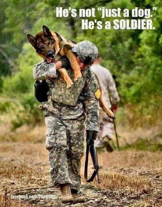 joannalinton2's tweet photo. Absolutely ❤️❤️😎 https://t.co/8XAcN4H9te