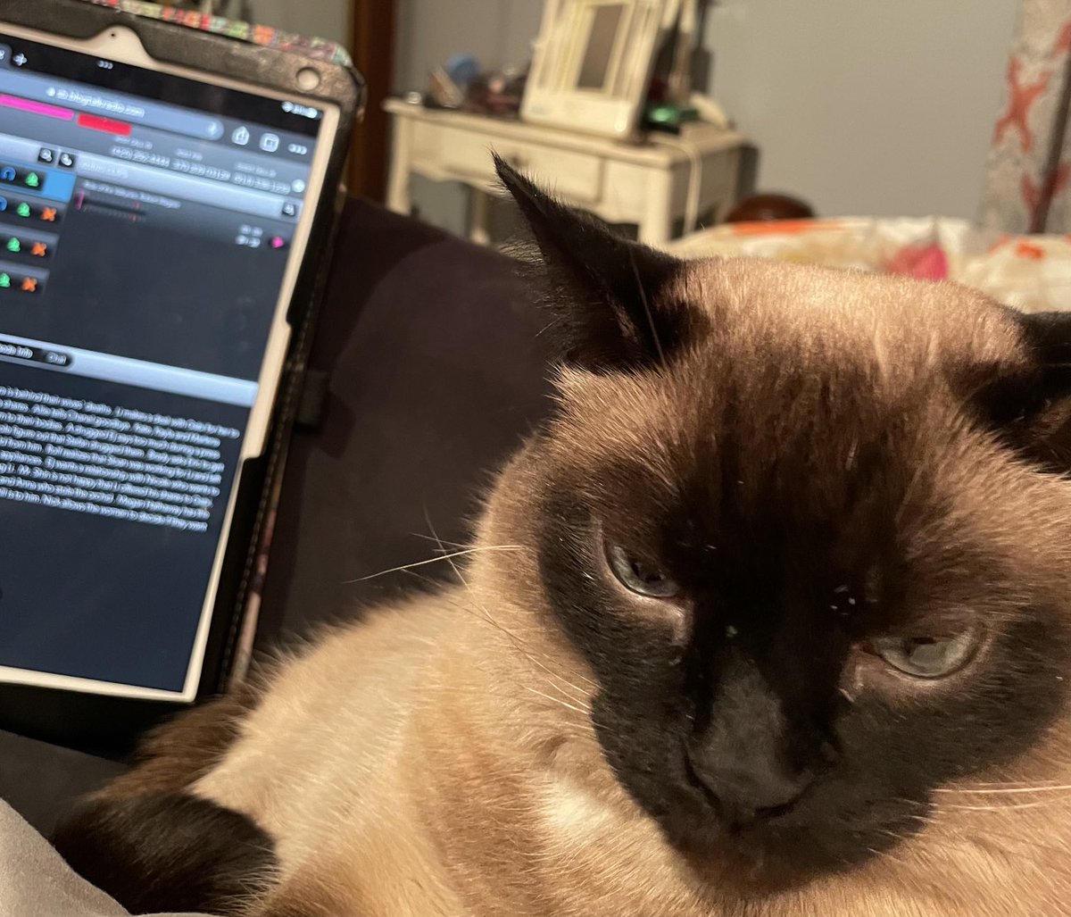 DivaofDOOL's tweet image. Sutton running the dashboard during our #blogtalkradio show #days #dool