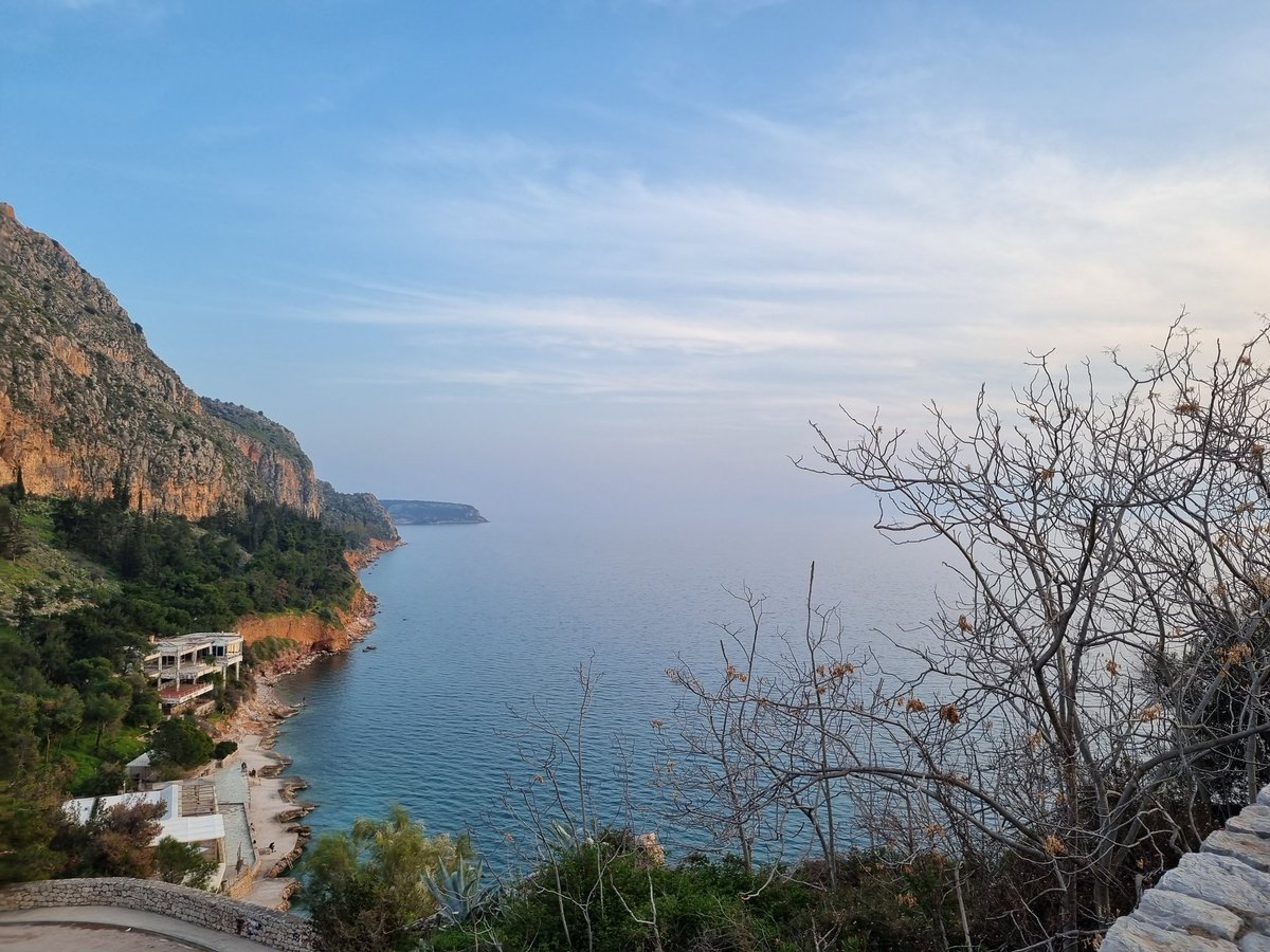 Daniel Last tweet media