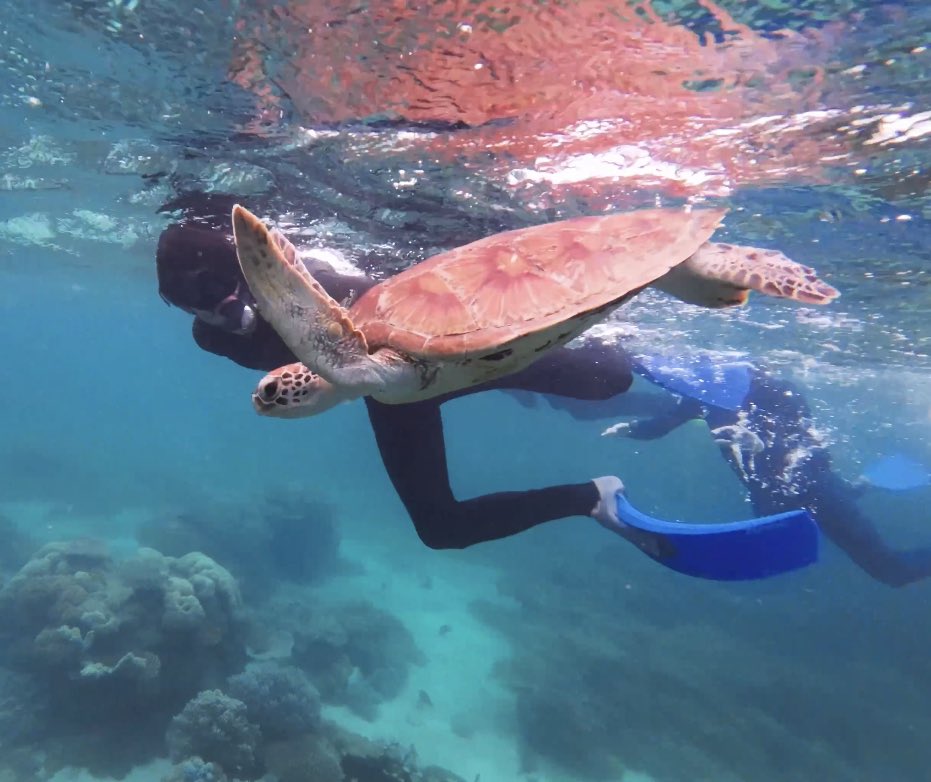 Pol Verdeguer 👹 tweet media