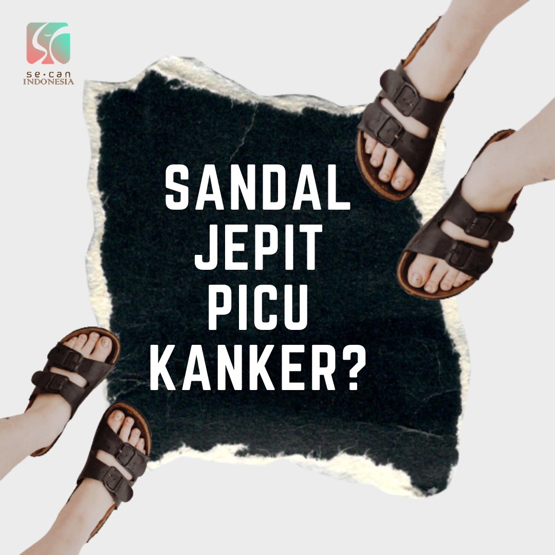 IndonesiaSecan's tweet photo. Jalan-jalan hari Minggu memang enak banget kalau pakai sandal jepit. Tapi tau gak sih, ternyata sandal jepit bisa menjadi pemicu kanker 😮

Baca selengkapnya lewat slide ini, ya!

#cancer #flipflops #sandal #sandalwanita #sandalpria https://t.co/i1HM4pHwl9