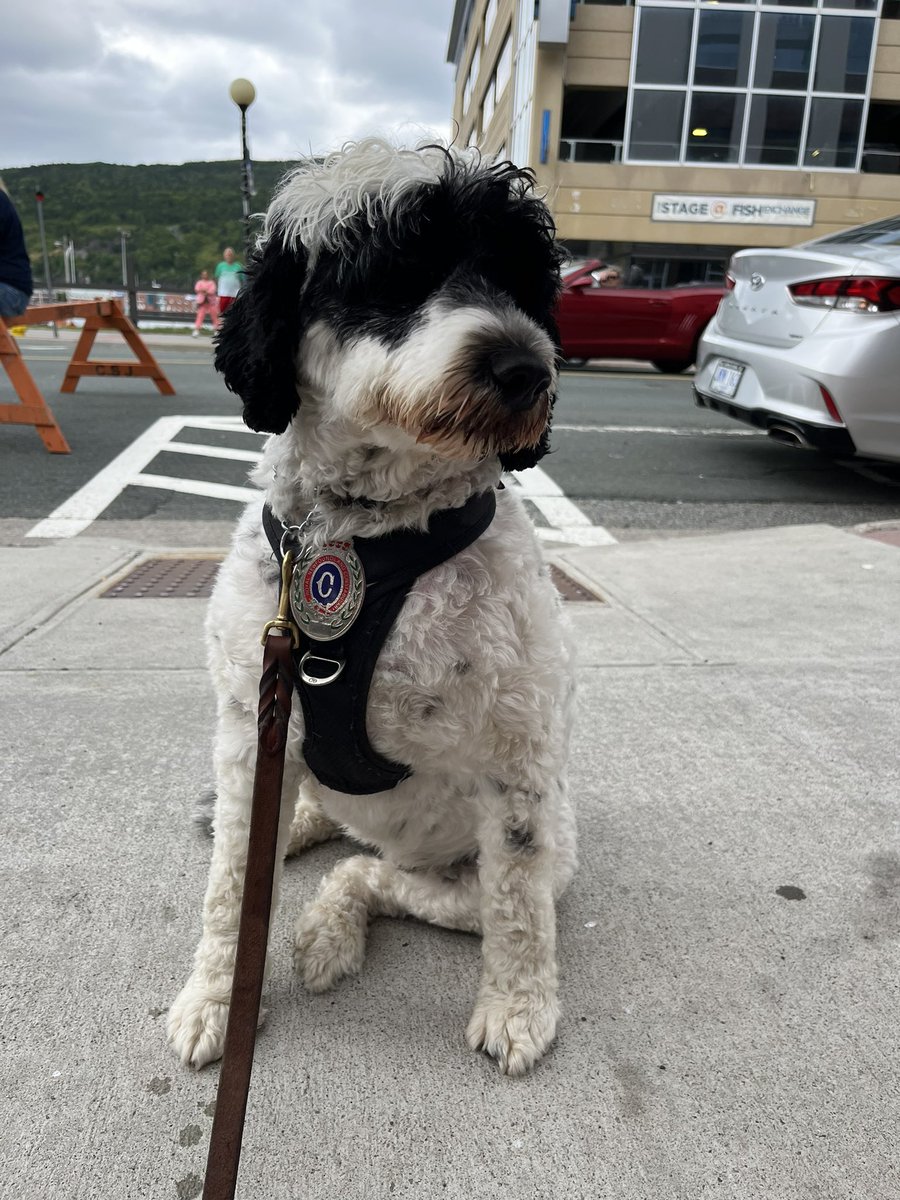 I hope I get to see @BeKind4Stella &amp; <a href="/KristaFagan/">Krista</a> again soon! 💙